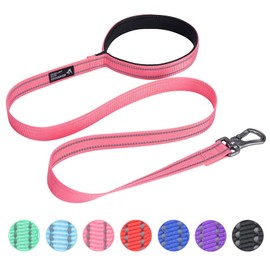 EXCELLENT ELITE SPANKER Strong Durable Nylon Dog Training Leash Traction Rope 4 Feet Long 1" Wide with Handle for Small and Medium Dog(Pink)