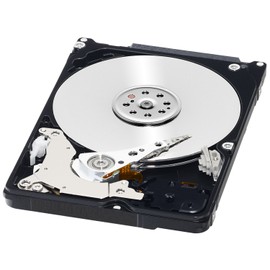 WD Black 320GB Performance Mobile Hard Disk Drive - 7200 RPM SATA 6 Gb/s 16MB Cache 9.5 MM 2.5 Inch - WD3200BEKX