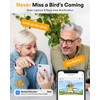 Metal Smart Bird Feeder with Camera – Solar Powered, AI