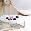 MAGICLULU 12pcs Rock Display Case Box Stones Storage Display Case