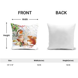 HUASHUZI Christmas Cushion Covers Xmas Christmas Decorations Throw Pillow Cover Winter Robin Bird Squirrel Animal Single Christmas Decor For Sofa Living Room Home 18x18 Inch 45x45cm