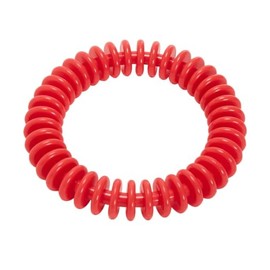 Sporti 6" Dive Ring - Red