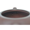 Xishi Teapot 9oz Chinese Zisha Clay Purple Sand Mud Kungfu