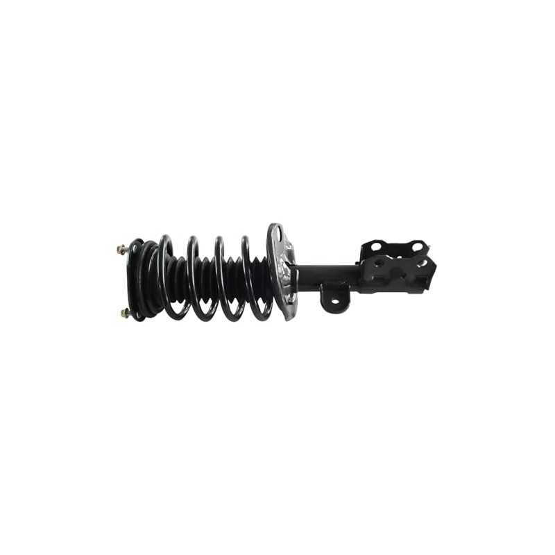 GSP 869013 Loaded Strut and Coil Spring Assembly for Select