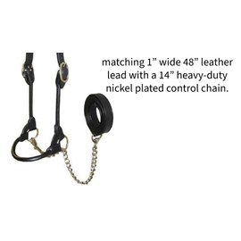 Derby Originals New and Improved Premium Round Rolled Leather Cattle Show Halter with Matching Chain Lead