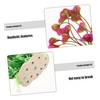 CORHAD Artificial Aquarium Plants 2 Pack Natural-Looking Fish Tank Decor