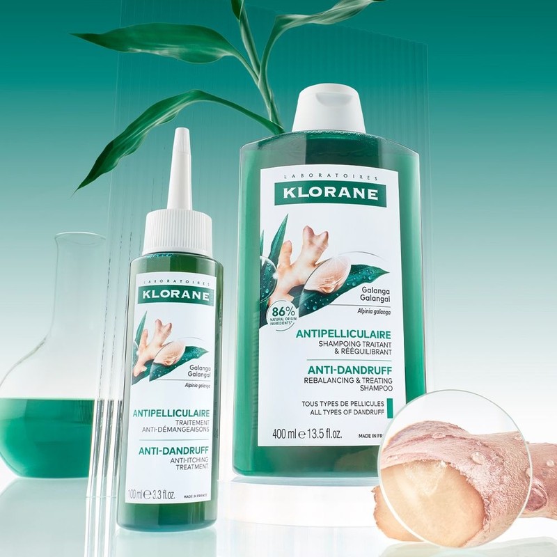 클로란 [지루성두피&가려움케어] 갈랑가 진저 비듬 샴푸 400ml x 2개 +