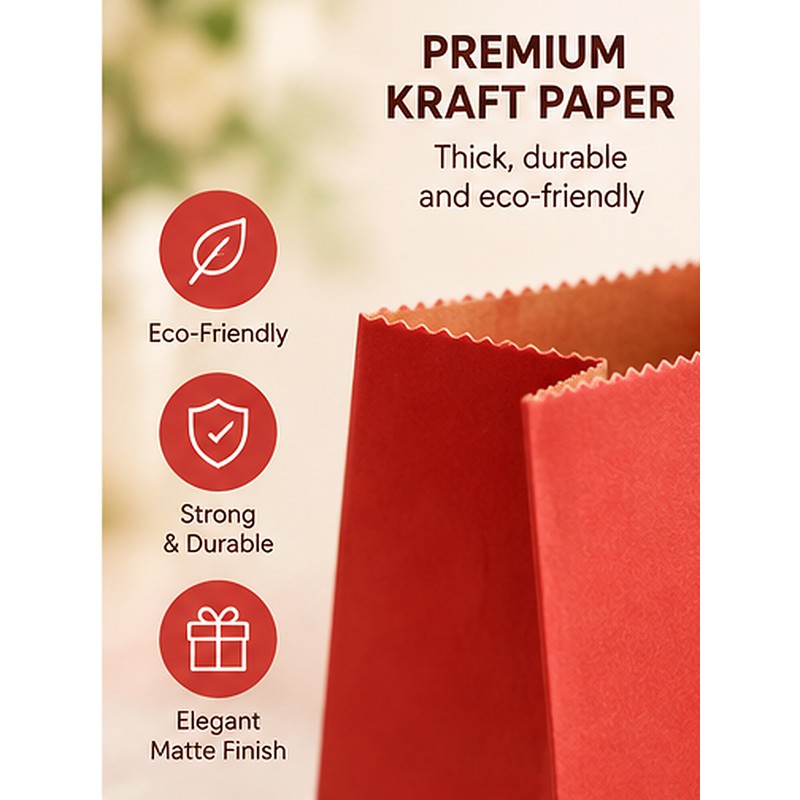 Kraft Paper Gift Bags with Handles for Party Favors –