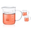 Okulab Glass Beakers with Handle, 2 Pcs 500ml 3.3 Borosilicate