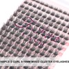 Fenshine Cluster Lashes Individual Lashes Wide Stem C/D Curl 9-15