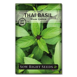 Sow Right Seeds - Sweet Large Leaf Thai Basil Seed for Planting - Non-GMO Heirloom Packet with Instructions to Plant a Kitchen Herb Garden - Indoors or Outdoor - Great for Hydroponic Growing (1)