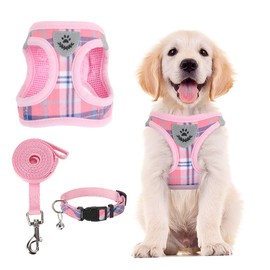 PUPTECK Adjustable Pet Harness Collar and Leash Set for Small Dogs Puppy and Cats Outdoor Training and Running, Soft Mesh Padded Reflective Vest Harness