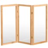 3 ft. Short Clear Plastic Partition Natural 3 Panel