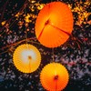 Living Choice LED Lanterns for Indoor or Outdoor Use