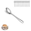 Berglander Coffee Spoons Set of 12, Stainless Steel Small Spoons,