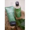 Urtekram Intense Moisture Shampoo Wild Lemongrass 250ml/ 8.4fl.oz.