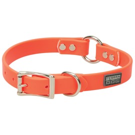 Terrain D.O.G. Brahma Webb Hunting Dog Collar
