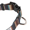 Hooey Nomad Dog Collar, Durable Polyester Webbing Collar with Graphic-Inspired