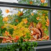 Autumn Maple Leaf Window Clings – Double-Sided Thanksgiving Tree Branches