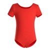 DANSHOW Girls Short Sleeve Leotard with Skirt Kids Dance Ballet