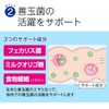 プロバイオティクス乳酸菌 31粒