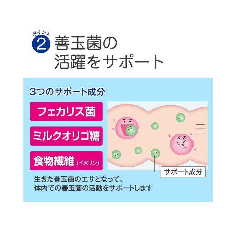 プロバイオティクス乳酸菌 31粒