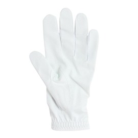 FootJoy Staycool EX Men's Golf Gloves, White/Navy, 8.7 inches (22 cm)