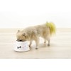 Richell Spill Resistant Dog Dish with Legs White SS Size