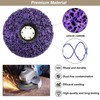 Pack of 5 CSD Disc, Grinding Disc, Purple Cleaning Disc