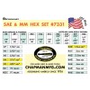 Chapman #7331 ORANGE SAE + Metric Allen Hex Screwdriver Bit