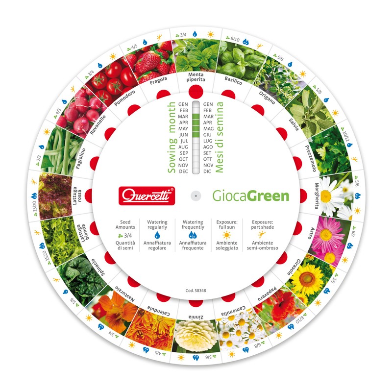 Beluga Toys, natural