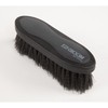 Shires 1482 Ezi-Groom Large 2-Tone Dandy Brush Bright Pink
