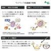 ライラック乳酸菌 オリゴプラス (60g / 約1ヶ月分)