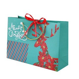 Christmas Gift Bags available in Small, Medium, Large sizes -Set of 10, Green Paper Bag with Red Poinsettias shaped Reindeer Design (Medium - 10x8x5 inches)