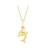 Carissima 9ct Yellow Gold Dolphin Pendant on Curb Chain Necklace