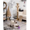 HEUHAI 6 Pcs Cat Toys Balls, 4 Bell Balls and
