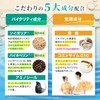 精活PLUS 妊活 サプリ 男性妊活サプリ マカ シトルリン 高配合 亜鉛 葉酸 特許成分