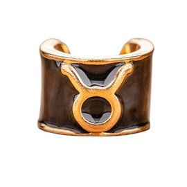 charMED Custom Stethoscope Charms - Taurus Charm - Gifts for Nurses, Doctors, Veterinarians, Technicians, Surgeons & Healthcare Professionals - Metal 0.5" Ring Charm