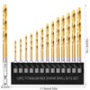 FRIDEE Hex Shank Drill Bit Set (13Pcs Set),Premium Titanium Impact