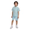 Hurley Boys' Woven Button Down Shirt, Blue Ice/Flamingo