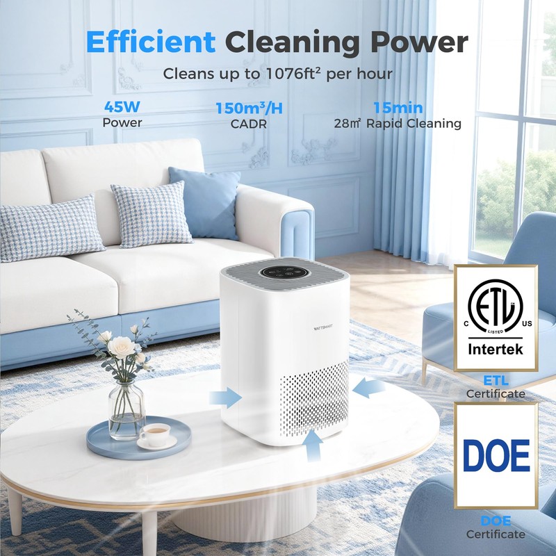 Air Purifier for Home, H13 True HEPA Filter With Activated
