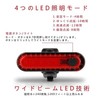 Volcano Eye Bicycle Tail Light, Set of 2, USB Charging