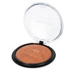 NEW WELL Blush Rouge Terracotta, Marbled Blush Powder for Cheeks,
