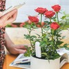 4-in-1 Plant Moisture Meter Watering Indicator, Intelligent Soil Tester Automatically