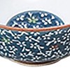 Hamato Hana-no-Sato Rice Bowl (Large) 62-01