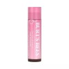 Burt's Bees 버츠비 틴티드립밤 핑크블라썸 4.25g Burt's Bees Tinted Lip Balm Pink Blossom 4.25g