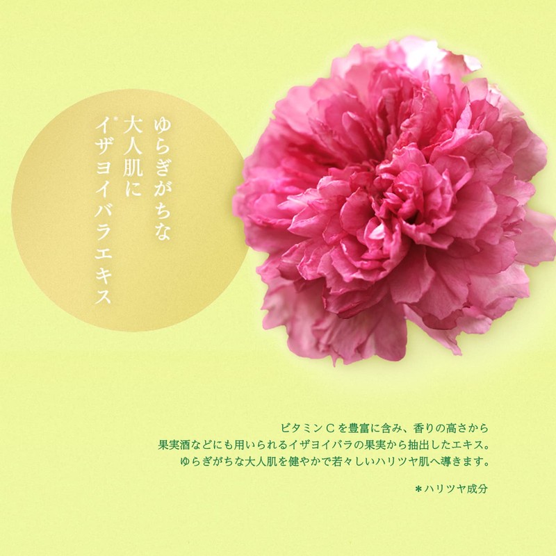 Rururun Face Mask Pack, Nagano Yamanashi Lulun (Shine Muscat Scent),