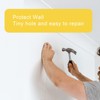 AIEX Picture Hanging Nails Picture Hang Solutions Plaster Picture Frame