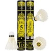RSL No.5 Tourney Badminton Shuttlecock Birdy 12-Pack (speed-77)