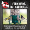 Droll Yankees Squirrel Proof Bird Feeders for Outdoors - YF-M